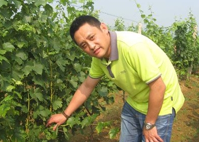 专访中国酿酒师杨志宇 