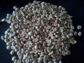 供应蓝郡乌干达AA级咖啡生豆